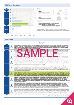 New Score Report Sample4
