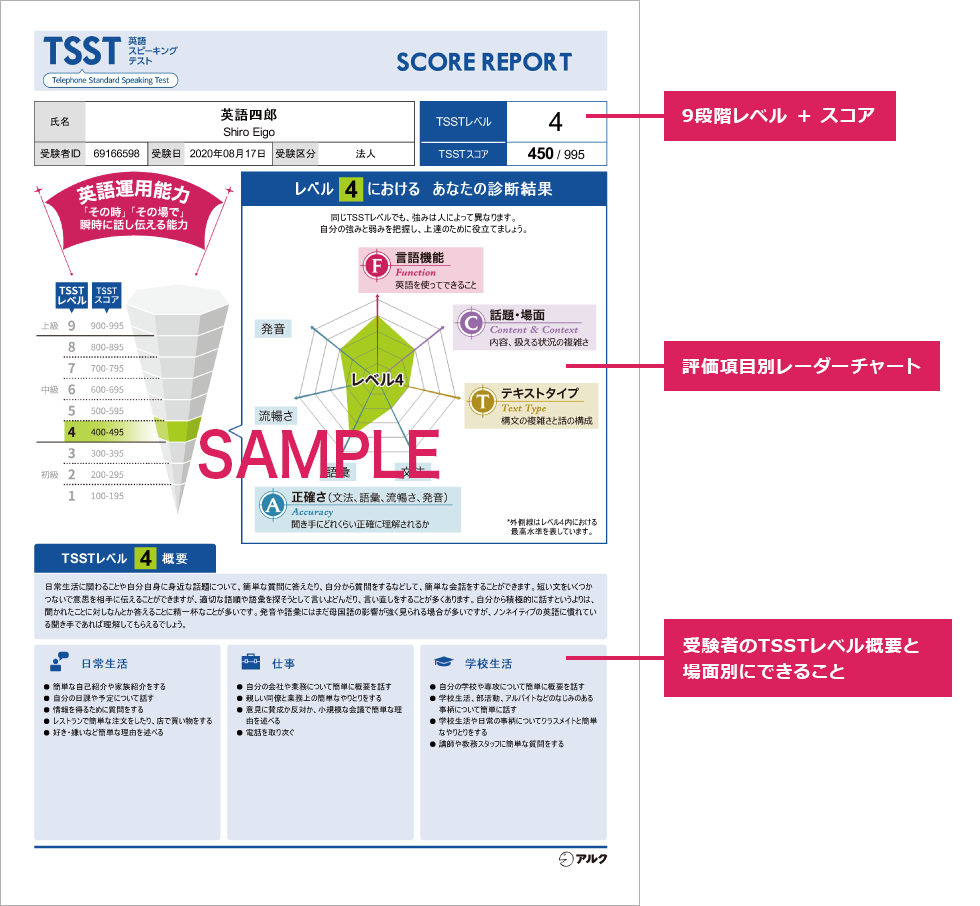 9段階レベル＋スコア、評価項目別レーダーチャート、受験者のTSSTレベル概要と場面別にできること