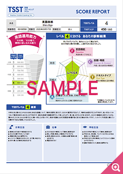 新TSSTスコアレポートsample1